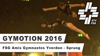 Gymotion 2016  FSG AmisGymnastes Yverdon  Sprung [upl. by Goles]