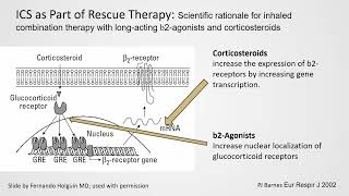 Treatment Options in Severe Eosinophilic Asthma [upl. by Ynnaf]