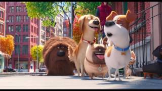 Pets  Trailer 3 [upl. by Chamkis]