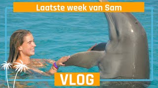 Sam VLOG 6  Dolphin Academy Paw Rescue Laatste weken  Bo Curaçao [upl. by Brendan965]