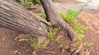 What its like to walk around Blackrocks Presque Isle Park [upl. by Eiderf]