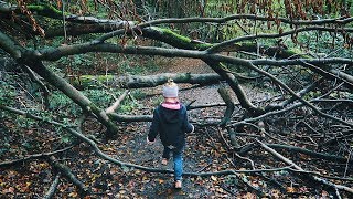 DIE SCHÖNEN WÄLDER DES SAARLANDS  Wandern mit Baby  Vlog 52 [upl. by Bertha]