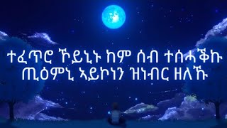 ኮኾብ ሰማይ Kokeb semay by Abraham Gebremedhinofficial lyrics Ethiopian music [upl. by Herbie]