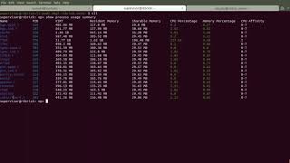 PPPoE authentication in action on BNG software [upl. by Suiradel380]