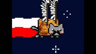 Polish Nyan Cat [upl. by Hamlet]