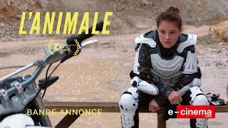 L ANIMALE  bande annonce VOST Drame [upl. by Enilatan806]