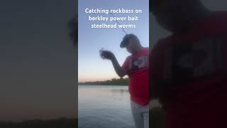 Catching rock bass on steelhead worms power bait on Lake manitou Manitoulin island [upl. by Zahavi]