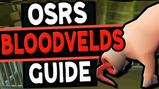 The Ultimate Bloodvelds Guide Old School Runescape [upl. by Artkele]