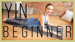 45 min Beginner Yin Yoga  Full Body Stretch Episode 366 [upl. by Susana]