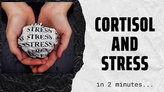 Cortisol the stress hormone in 2 mins [upl. by Oderfliw967]