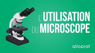 Lutilisation du microscope  Sciences  Alloprof [upl. by Tteraj]