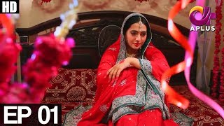 GhareebZaadi Episode 1  Aplus  Top Pakistani Dramas  C2Y1 [upl. by Yggam]