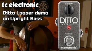 TC Electronic Ditto Looper Pedal Demo for Upright Bass  Want 2 Check [upl. by Daisie]