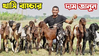 ভাল কোয়ালিটি খাসি বাচ্চার চাহিদা বেড়ে গেছে। খাসি ও পাঠী সেই সাথে পাঠার দাম জানুন। [upl. by Enaht828]