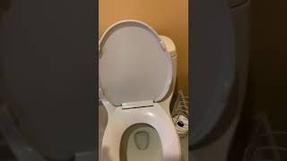 How to fix a Kohler toilet that won’t flush properly [upl. by Osman790]