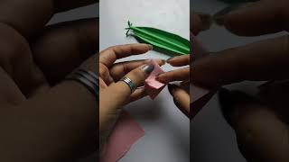 How to make flower with KANGARO DEMINI 10 KIT [upl. by Zitah11]