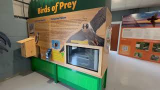 Adler Display Creates an Indoor Nature Exhibit for Delaware DNREC [upl. by Pedroza]