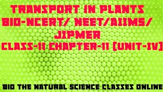 BiologyTransport in PlantsEpis411th NCERTNEET UG 202122AIIMSJIPMERTutelage Is My Intention [upl. by Cranston554]