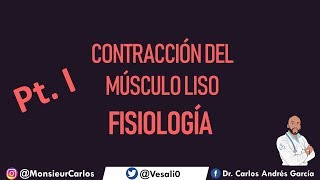 Fisiología  Contracción del Músculo Liso Pt I Clasificación Actina y Miosina [upl. by Asaret]