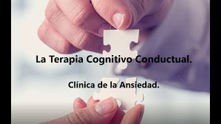 Terapia Cognitivo Conductual [upl. by Eiramave]