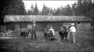 Svensk folkmusik  Låt Till Far [upl. by Aihsoem]