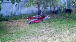 Homemade Radio Controlled Lawnmower [upl. by Aikehs378]