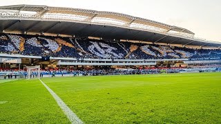 FESTA SURREAL DA TORCIDA DO LEÃO DO NORTE 🦁  MOSAICO 1905 🦁🇪🇺  remo x botafogo PB [upl. by Templeton476]