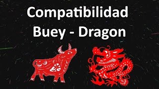 Compatibilidad Buey  Dragon Horóscopo Chino [upl. by Hanson363]