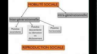 LES DIFFÉRENTES MOBILITÉS [upl. by Nonnaihr]