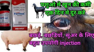 Injection Feritas uses Iron inj use in animals पशुओ मे कमजोरी को एक़ इंज से करे दूर [upl. by Yar]