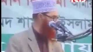 Heavy Weight Speech By Allama Deloar Hossain Saidi [upl. by Arada526]