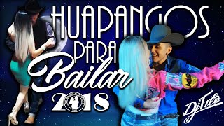 Los Mejores HUAPANGOS Para Bailar 2018 DjTito [upl. by Akimihs]