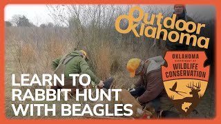 Learn how to rabbit hunt with beagles [upl. by Santa548]