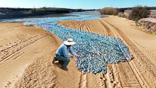 Momentos en la Naturaleza Que Ocurren una Vez Entre Mil Millones [upl. by Anai]