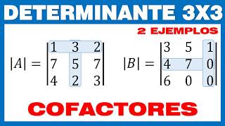 Determinante 3x3 Método de Cofactores [upl. by Adair]