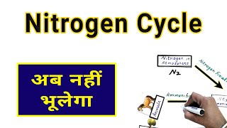 Nitrogen Cycle in Hindi [upl. by Anerhs]