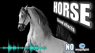 Horse sound effect without copyright  Horse approaching [upl. by Alrick517]