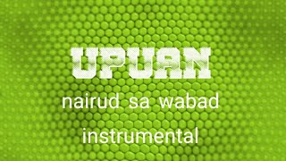 UPUANnairud sa wabadreggae karaoke [upl. by Ahsennek]