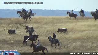 La Bajada Yunquera de Henares 17 09 2024 [upl. by Eenal508]