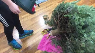 How to set up a real Christmas tree on a stand [upl. by Nortna593]