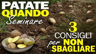 QUANDO seminare PATATE  3 consigli per NON SBAGLIARE [upl. by Lissie554]