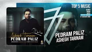 Pedram Paliz  Top 5 Singles  OFFICIAL TRACK [upl. by Suoinuj]