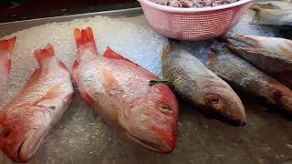 The Biggest Seafood Restaurant in Kucing Malaysia  Full Recommended [upl. by Ahsirek635]