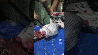 Fish cutting skills fish cutting cutting fish skills amazing fish cutting skills [upl. by Kincaid]