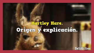 ¿QUIEN ES HARTLEY HARE  Hartley Hare Pipkins  Historia y Curiosidades [upl. by Nylasej]