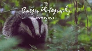 UK Badger Photography  HOW TO DO IT [upl. by Bremble]