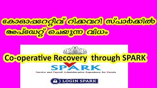 How to Update Cooperative Recovery in Spark [upl. by Malilliw]