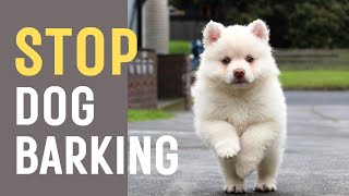 Sound To Stop Dogs Barking Not compatible with iPhone [upl. by Gwenore915]