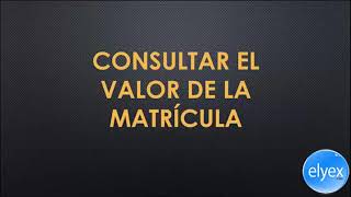 Consulta matricula SRI Vehicular ANT Ecuador Sistema de Matriculación Valores Pagar Gratis [upl. by Seidnac386]