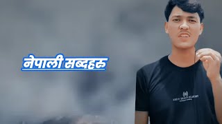 nepali sabda haru nepali lines nepali sayri nepali heart toching line baley [upl. by Sakul184]